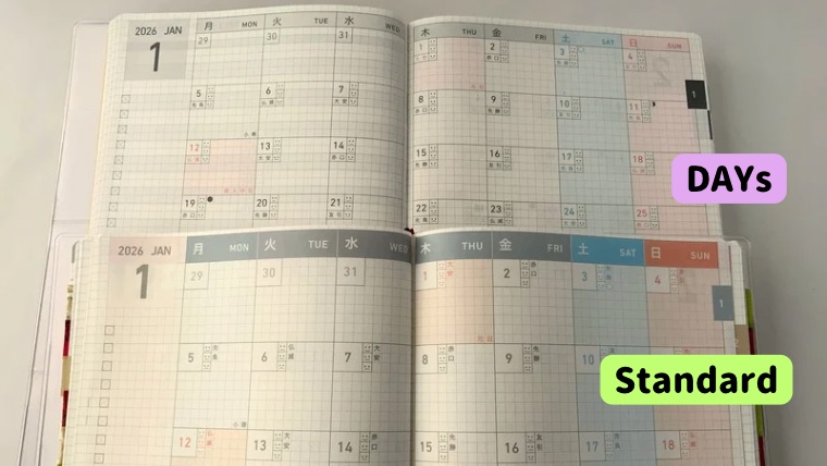 DAYs ,standard比較